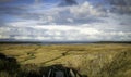 the slufter nature area of the island texel Royalty Free Stock Photo