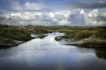 the slufter nature area of the island texel Royalty Free Stock Photo