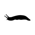 Slug icon or logo isolated sign symbol vector illustration