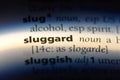 sluggard Royalty Free Stock Photo