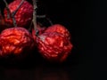 Sluggish macro Rowan berries on a black background