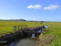 Sluice gate on a drainage ditch