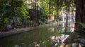 Slums house poor ramshakle of Southeast Asia along the Klong River. Thailand, Bangkok photo.