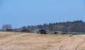 Slurry hosing, agricultural vehicle is distributing liquid manure through hoses in the field, spreading close to the ground