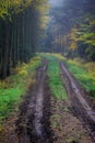 Slushy road Royalty Free Stock Photo