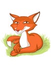 Sly fox Royalty Free Stock Photo