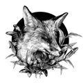 Sly Fox face with closed eyes looks away squinting from the sun round composition decorated with flowers and Lily leaves