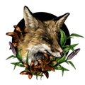 Sly Fox face with closed eyes looks away squinting from the sun round composition decorated with flowers and Lily leaves