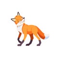 Sly Fox smiling ponders a plan of deception. Cartoon Vector illustration isolated on white background Royalty Free Stock Photo