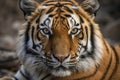 A sly sabertoothed tiger its eyes narrowed in a calculating stare.. AI generation