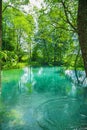 Smal lake in forest in summer