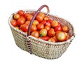 Smal red eco tomatoes in basket from willow twigs isolated Royalty Free Stock Photo