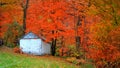 Small abandoned barn and autumn trees