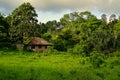 Small abandoned bungalow in the rain forrest