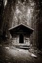 Small wooden cabin in a dark fir forest. Black and white Royalty Free Stock Photo