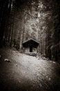 Small wooden cabin in a dark fir forest. Black and white Royalty Free Stock Photo