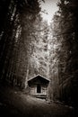 Small wooden cabin in a dark fir forest. Black and white Royalty Free Stock Photo