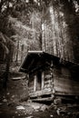 Small wooden cabin in a dark fir forest. Black and white Royalty Free Stock Photo