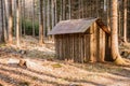 The small abandoned wooden house, located on the edge of a forest. The house is damaged. Czech Republic Royalty Free Stock Photo