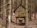 The small abandoned wooden house, located on the edge of a forest. The house is damaged. Czech Republic Royalty Free Stock Photo