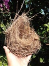 The Small Abondened Bird& x27;s Nest