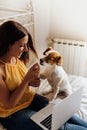 Small adorable jack russell dog training by a woman to shake paws. Getting a cookie as a treat for good behavior from the hand of