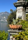 Small Agave americana Variegata in the terraced lakefront Garden of the Villa Cipressi in Varenna..