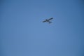 Small aircraft departing into the wide, blue sky Royalty Free Stock Photo