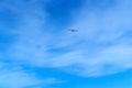 A small aircraft soars in the blue sky, glider in the sky Royalty Free Stock Photo