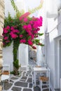 Small alley with colourful bougainvillea flowers in the small village of Naousa on Paros