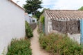 Small alley in Noirmoutier island in Vendee France
