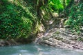 Small amazing lake with stagnant water and a creek flowing into it among jungle Royalty Free Stock Photo