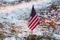 Small American flag against snow and leaves background seen during a golden hour morning Royalty Free Stock Photo