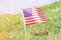 Small American flag on green grass lawn of the sunset. Memorial day US flags. Labor day concept. Happy Independence Day. Royalty Free Stock Photo