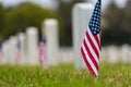Small American flag at National cemetary - Memorial Day display Royalty Free Stock Photo