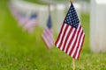 Small American flag at National cemetary - Memorial Day display Royalty Free Stock Photo