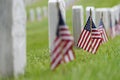 Small American flag at National cemetary - Memorial Day display Royalty Free Stock Photo