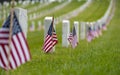 Small American flag at National cemetary - Memorial Day display