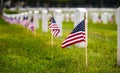 Small American flag at National cemetary - Memorial Day display Royalty Free Stock Photo