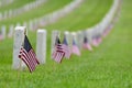 Small American flag at National cemetary - Memorial Day display Royalty Free Stock Photo