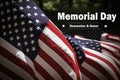 Small American flags and headstones at National cemetary- Memorial Day display Royalty Free Stock Photo