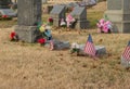 Small American flags and headstones at National cemetery. Royalty Free Stock Photo