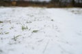 A small amount of snow on the ground and green grass sticking out from under it. winter with little snow Royalty Free Stock Photo