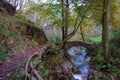 Small ancient bridge of rocks in a creek in the woods