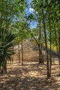 Small ancient pyramid of old Mayan civilization city hidden in t