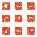 Small animal icons set, grunge style