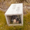 Small animal trap with written warning for humans