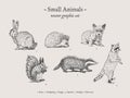 Small animals vintage illustration set