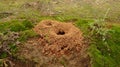 A small ant nest, ants moving inside Royalty Free Stock Photo