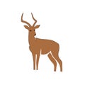 Small antelope vector type icon Royalty Free Stock Photo